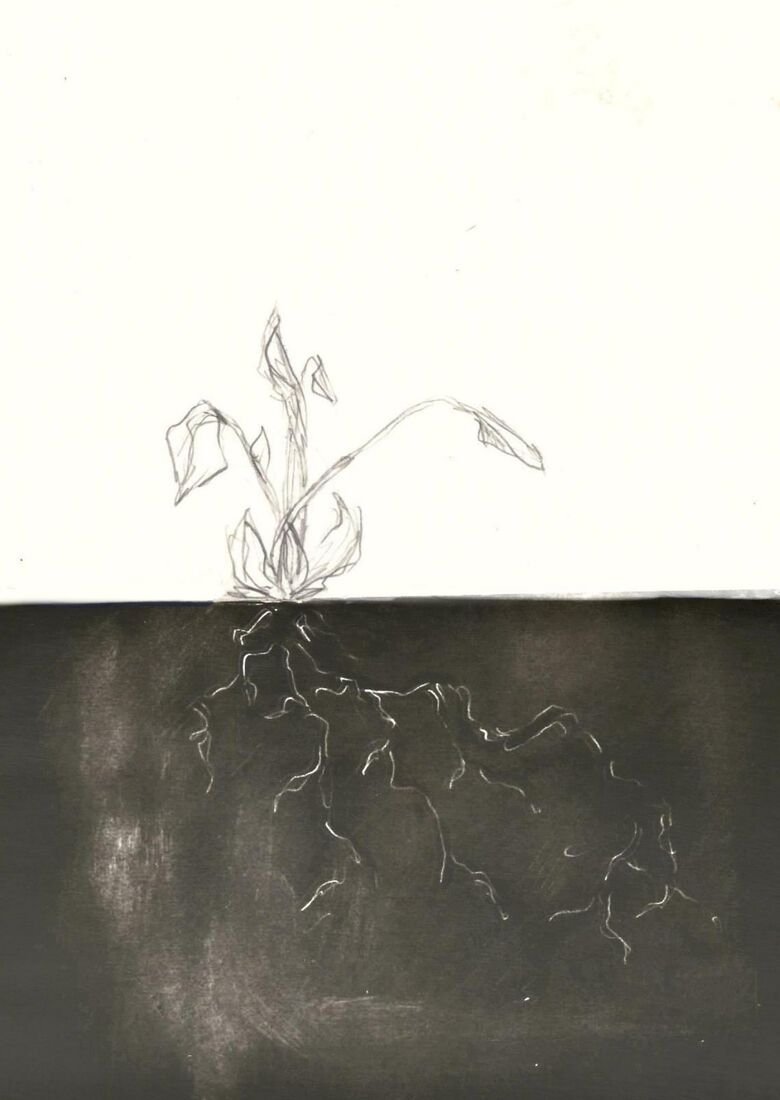 Рисунок «Корни»
